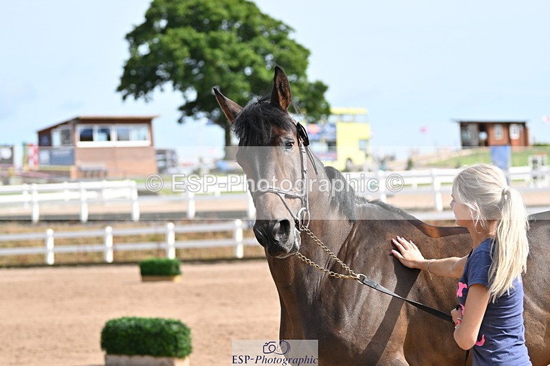 240717A-160341-03306 - Trot Up 4pm to 5pm
