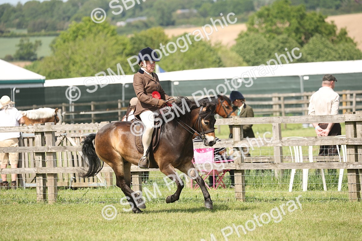 SBM_07684 - Class 26-30 - Mountain and Moorland Ridden