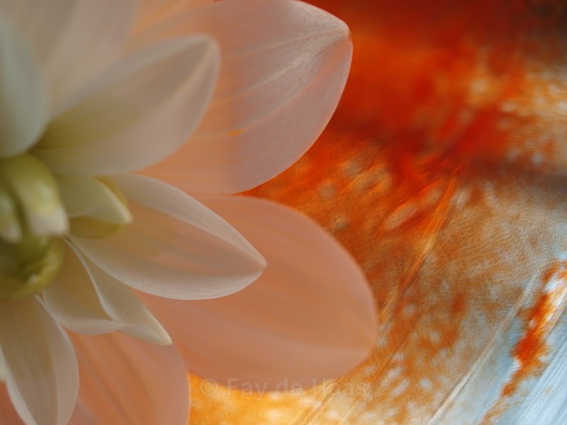  - The Glow of Summer