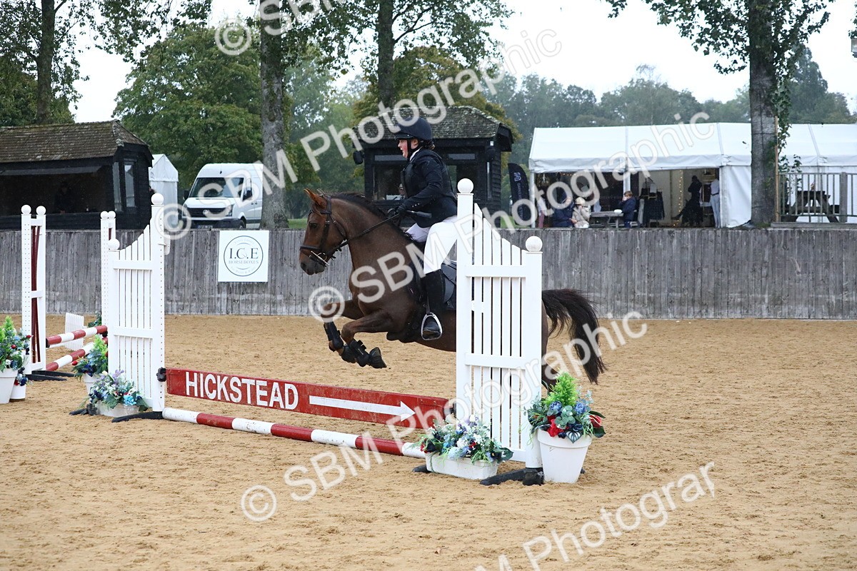 SBM_71480 - J4 - Mini Tour Junior Pony 45cm Championship