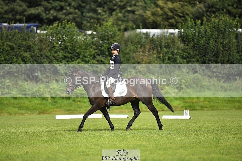 230826-095115-15259 - Sections C & D 9 to 10am