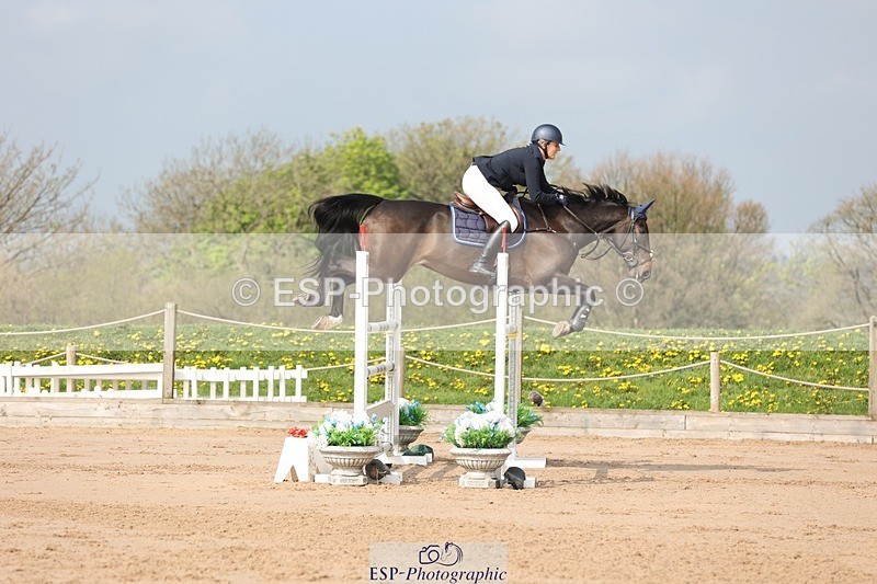 250424-102837-03037 - Cls 33 Young Horse 7yr old