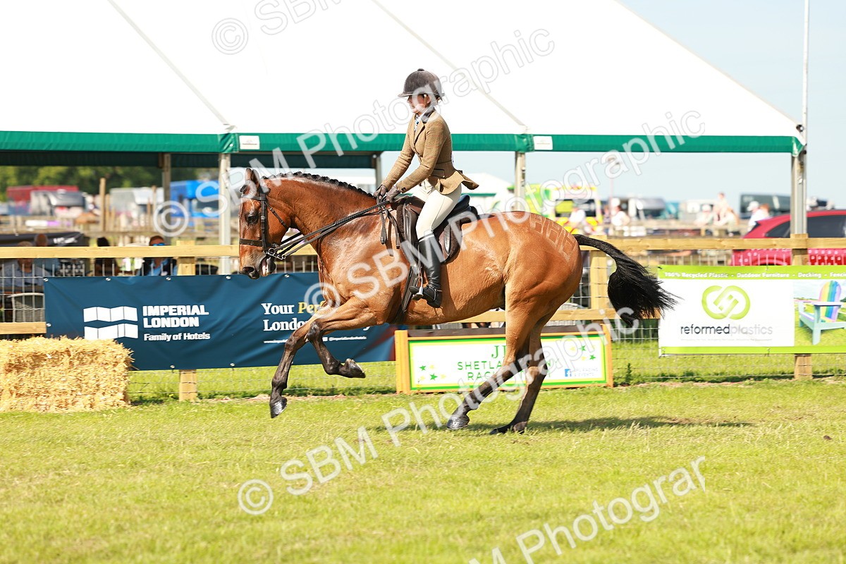 SBM_12053 - Class 66-69 - RIHS Ridden Hunters Inc Small Hunter