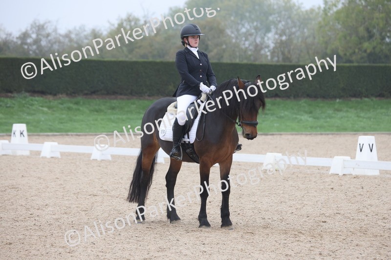 20251012-0450 - Class 3 - Novice 5