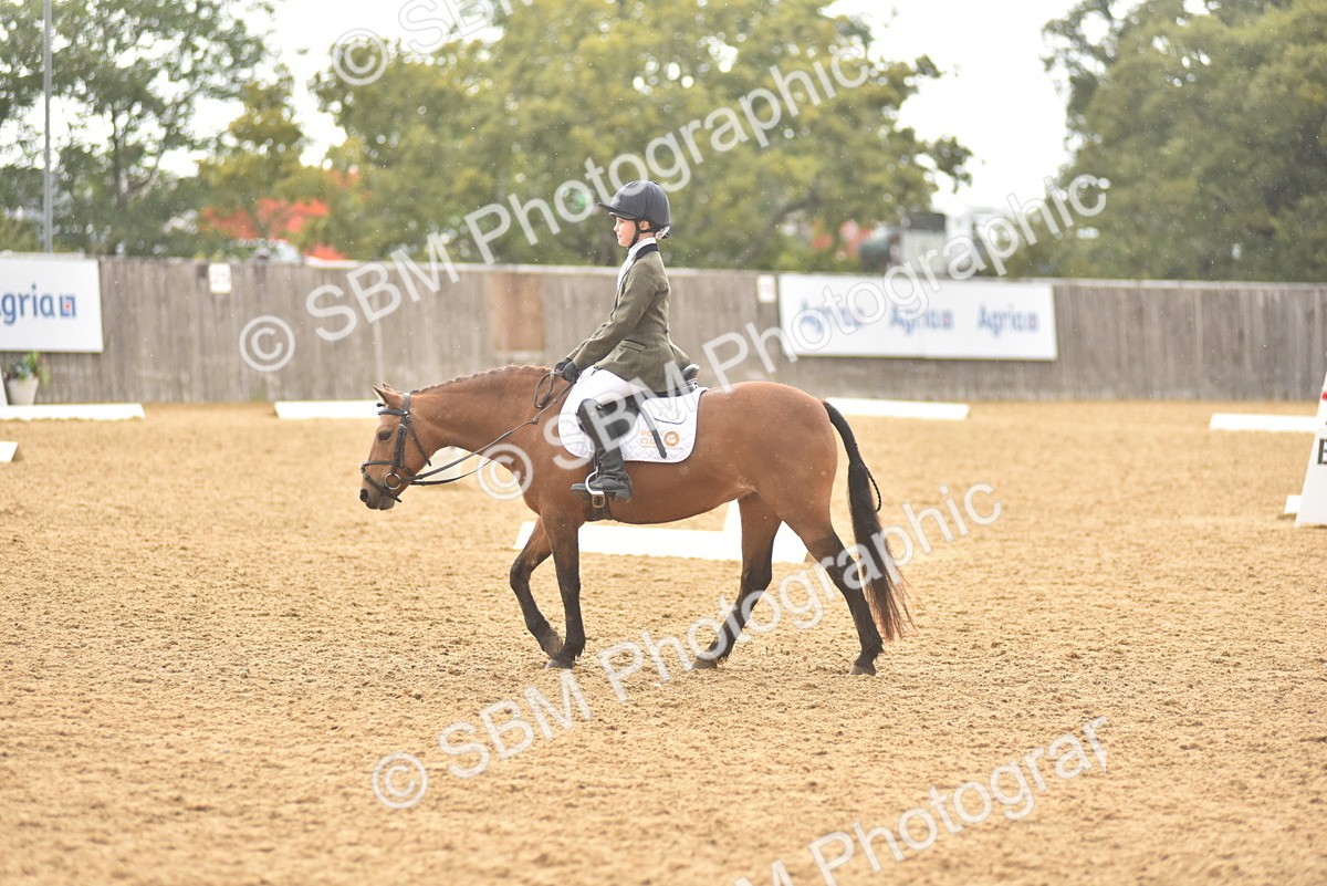 SBM_42397 - D22 - Junior Championship Intro 3