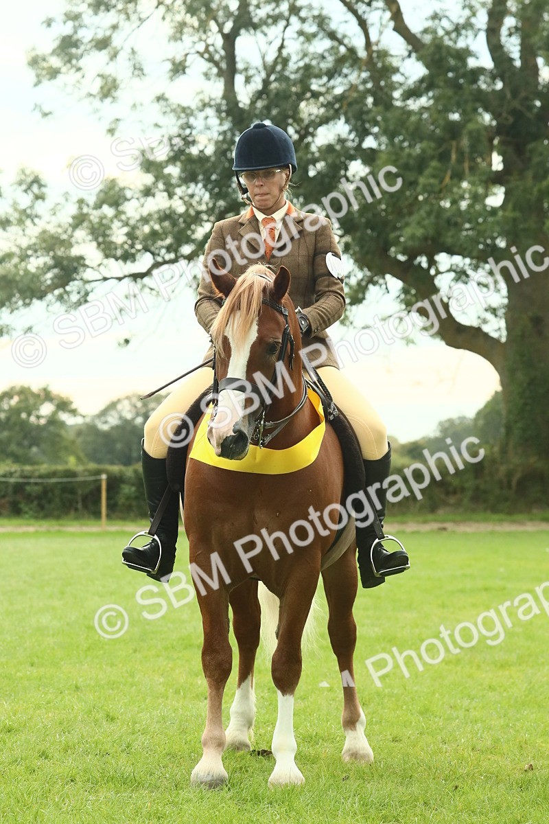 SBM_75048 - Ridden Pony Supreme Championship