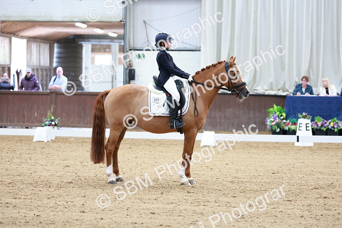 SBM_017091 - Class15 - FEI Pony