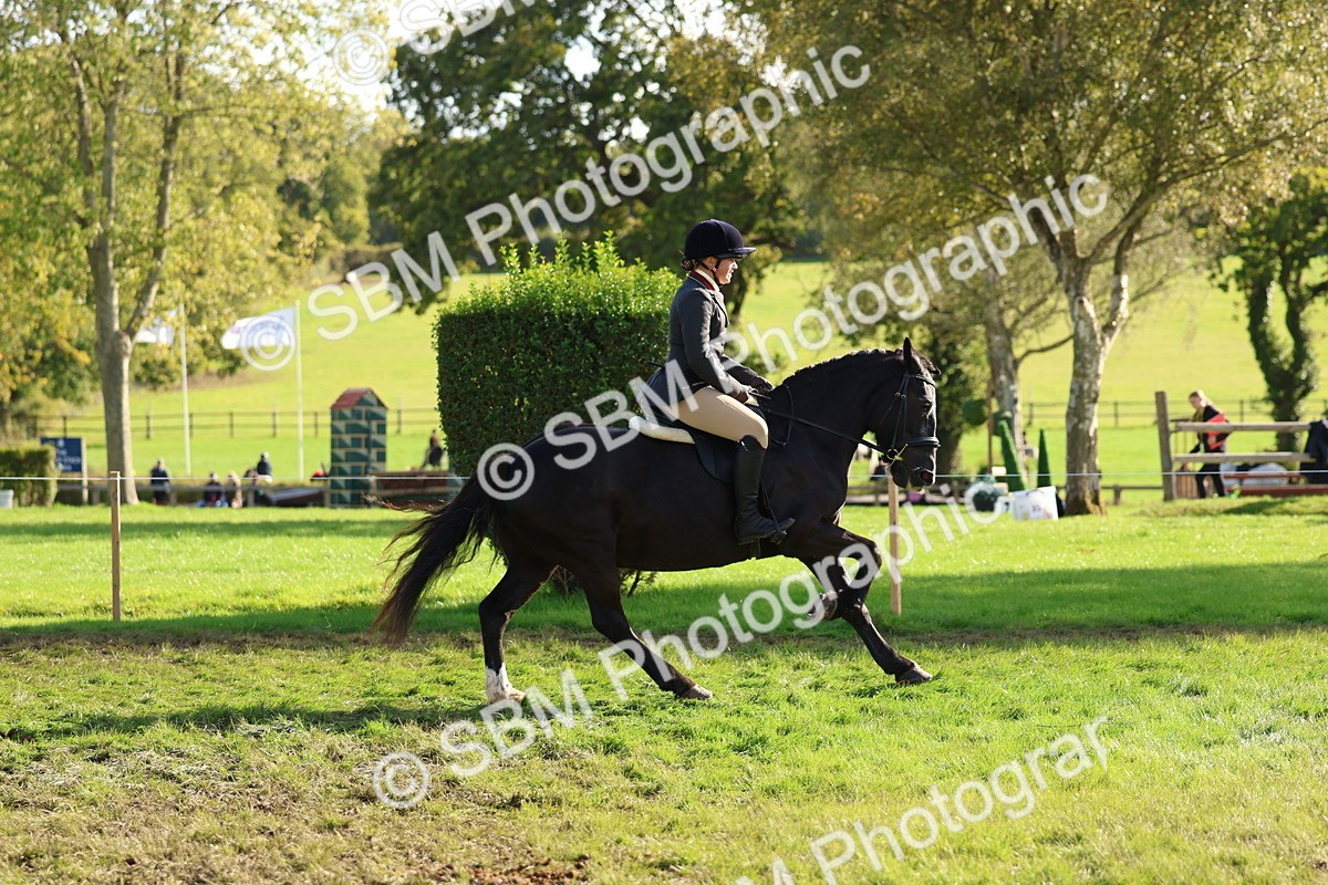 SBM_52409 - S13 - Pony Club Pony