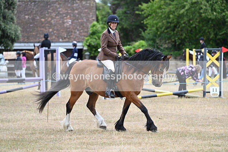 WJ7_0529 - Class 6 Ridden Mountain and Moorland