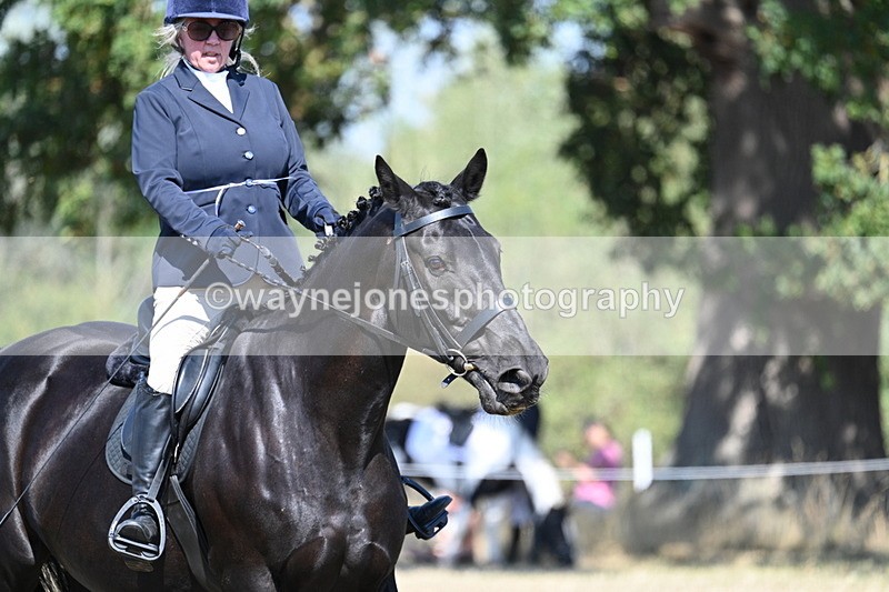 WJ7_9875 - Time 11:03 to 11:28