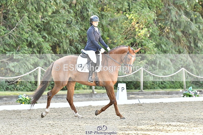 260801A-094526-02673 - Prelim Bronze Start - 11.35