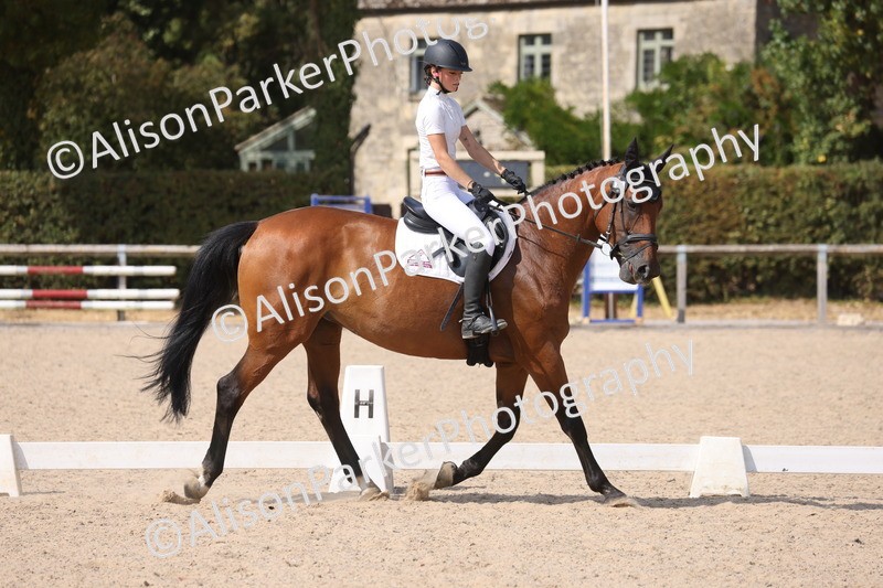 20260815-1077 - Class 6 - Novice 2