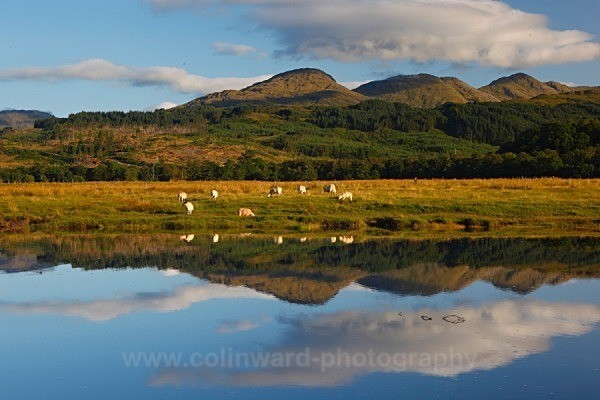 Loch Eil reflections       ref 1647 - Scotland