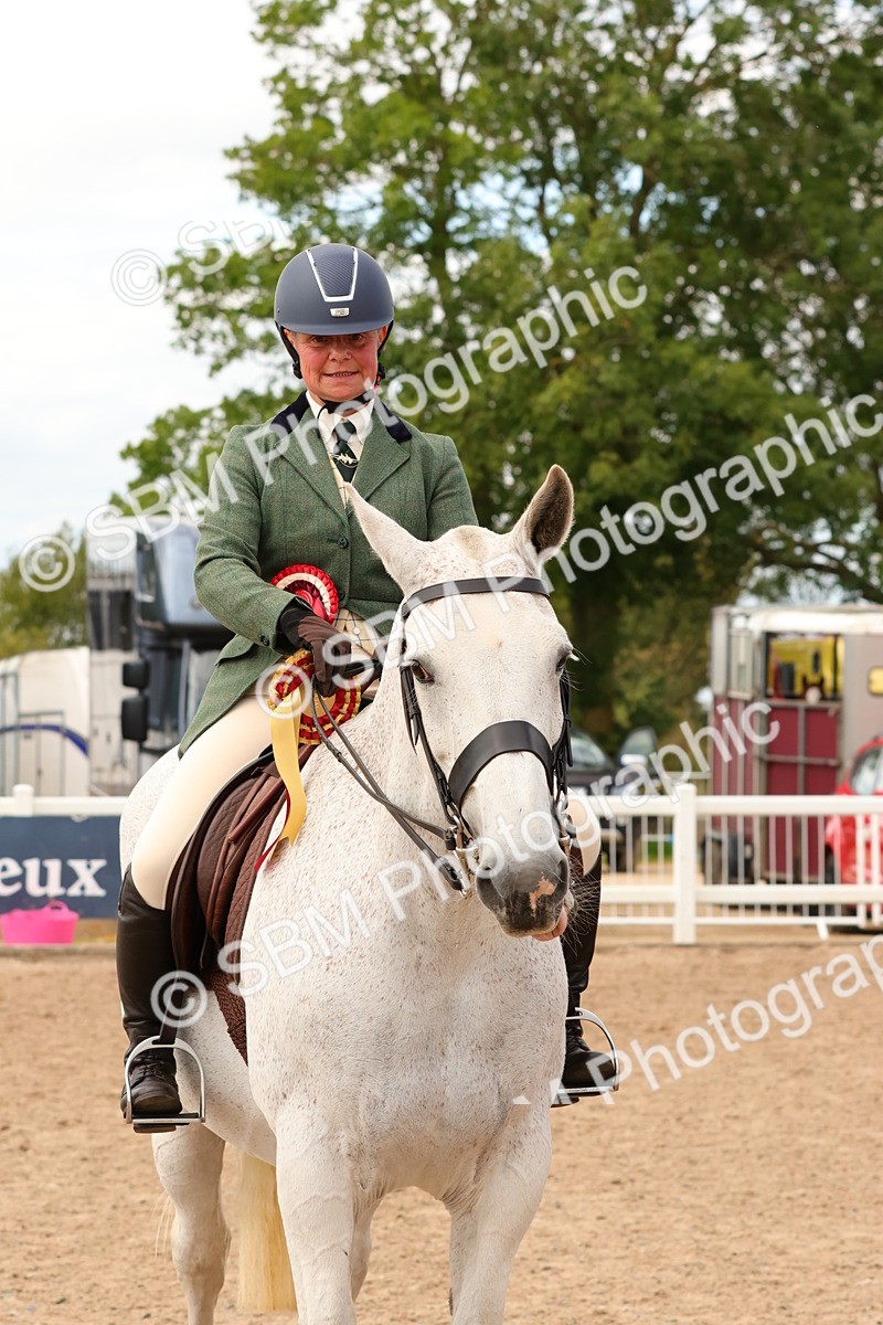 SBM_15584 - Class 214 - Ridden Show Cob