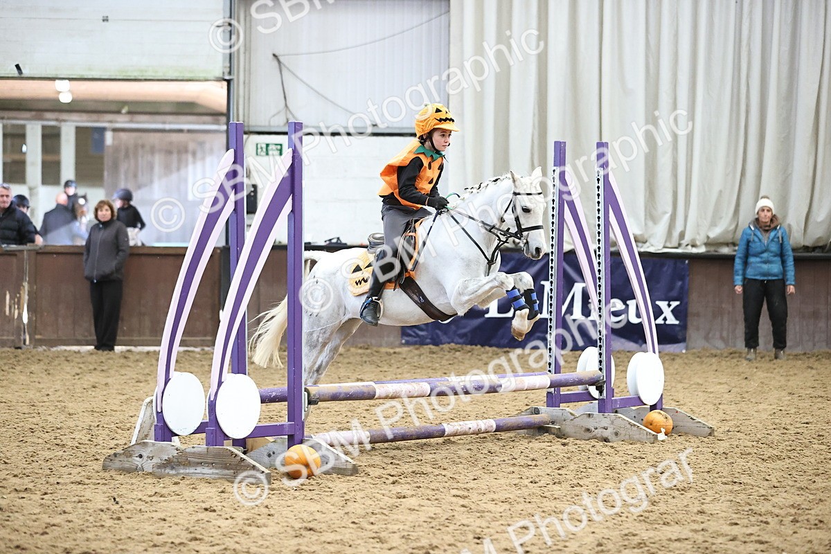 SBM_001360 - Class 3 - Horse & Hound 60cm