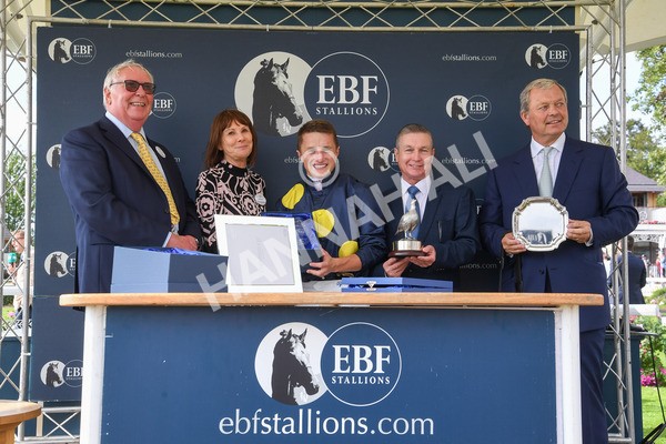 240823-Race 5-Sea Theme-0676 - Race 5 4.10pm British EBF & Sir Henry Cecil Galtres Stakes