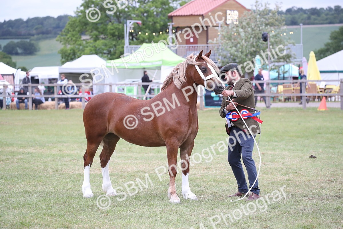 SBM_09882 - Ch 50 - Price Family Supreme In Hand