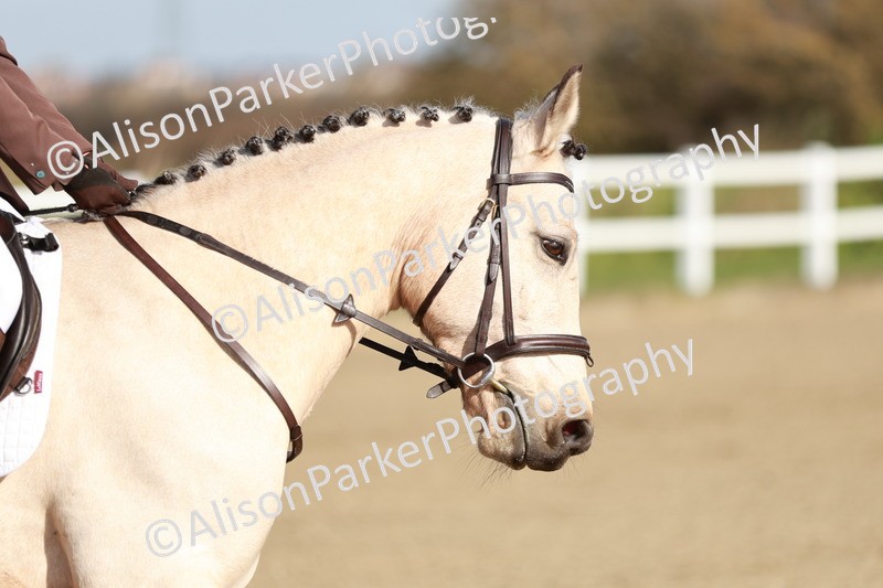 20260314-0075 - CT1 - Intro 1