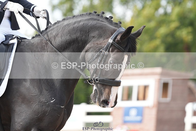 250907-155352-09690 - 057-Joanna.JohnsRockoko