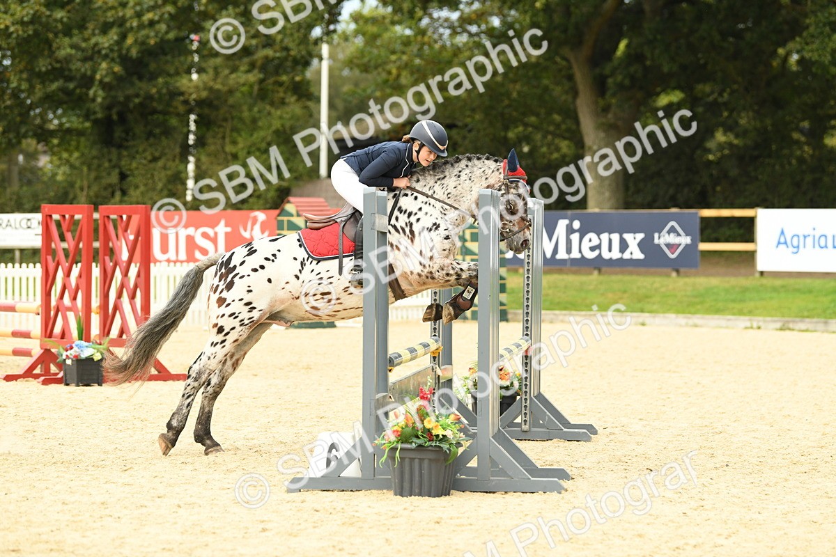 SBM_75677 - Supreme Championship