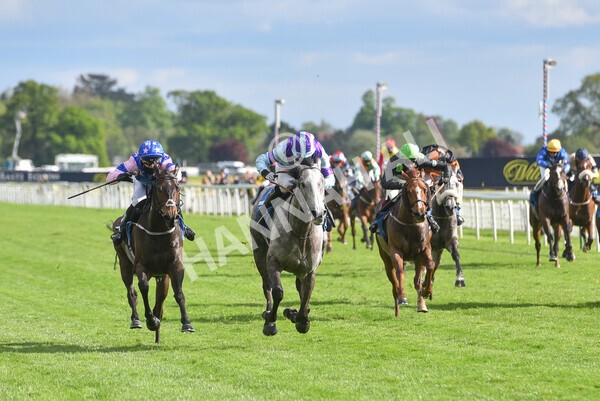 yr22052021r7-41 - Race 7 5.25pm Hudson Quarter York Palace Capital Stakes - Gentleman Amateur Riders Race