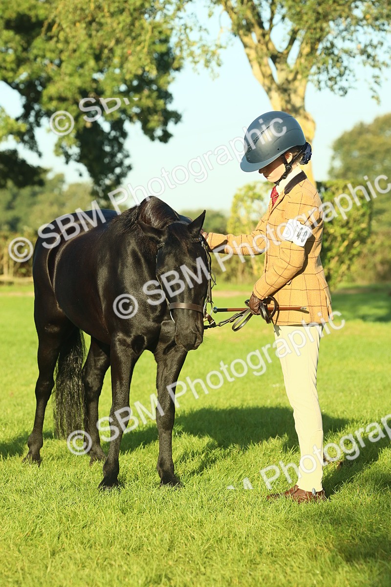SBM_57459 - S37 - Starters In Hand Showing