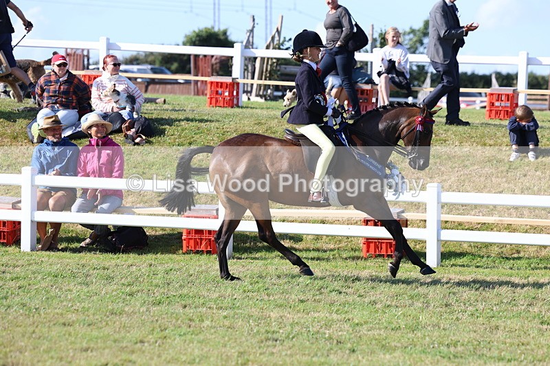 3E7A4271 - Supreme Championship