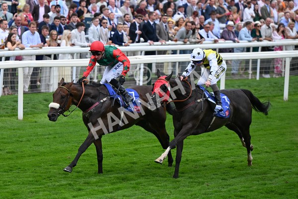 230825-223 Northern Ticker - Race 5 4.10pm Sky Bet Constantine Handicap