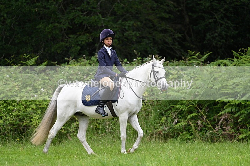 WJ7_3819 - Class 14A Handsome Gelding