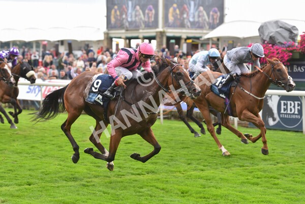yr19082021r7-25 - Race 7 5.20pm British Stallion Studs EBF Fillies' Stakes