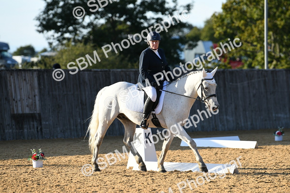 SBM_30800 - D16 - Small Tour Championship - Novice 28