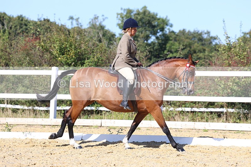 3E7A5709 - Class 10: Riding Horse
