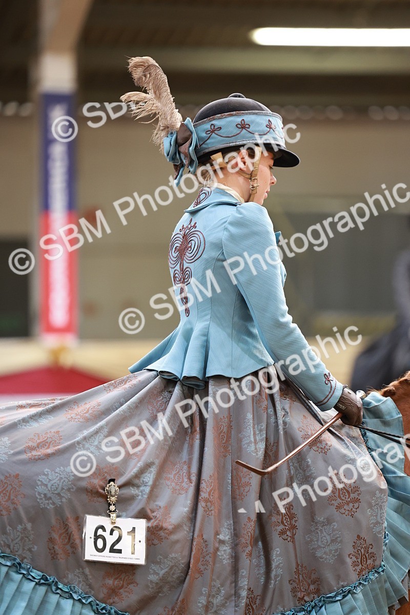 SBM_13753 - Class 106 - Ridden Costume -Astride Adult (15-19)