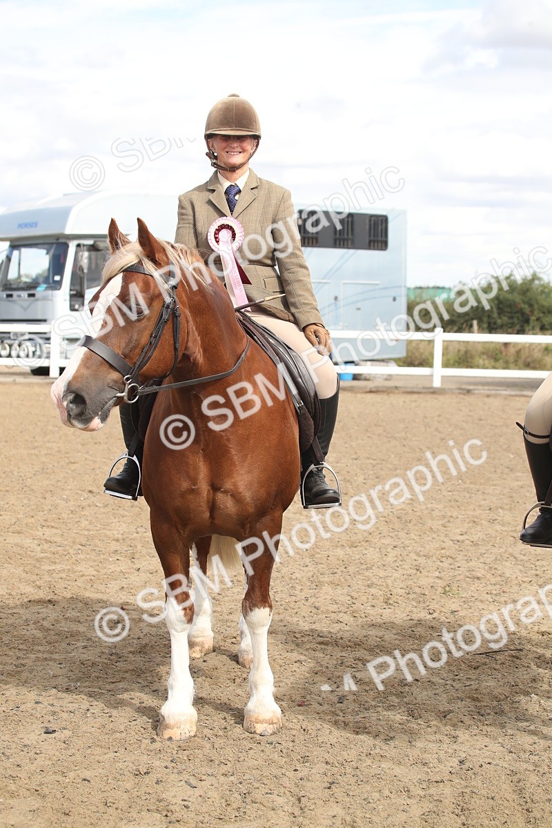 SBM_14599 - Class 505a - M&M Working Veteran - 50cm (15-19)