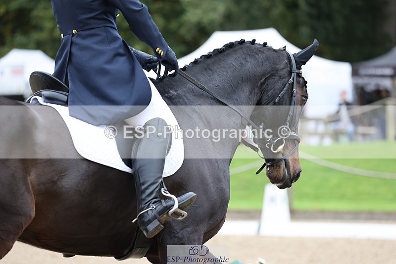 241024-105839-01702 - 134-Rosie.Thomson-BOSTON.IV