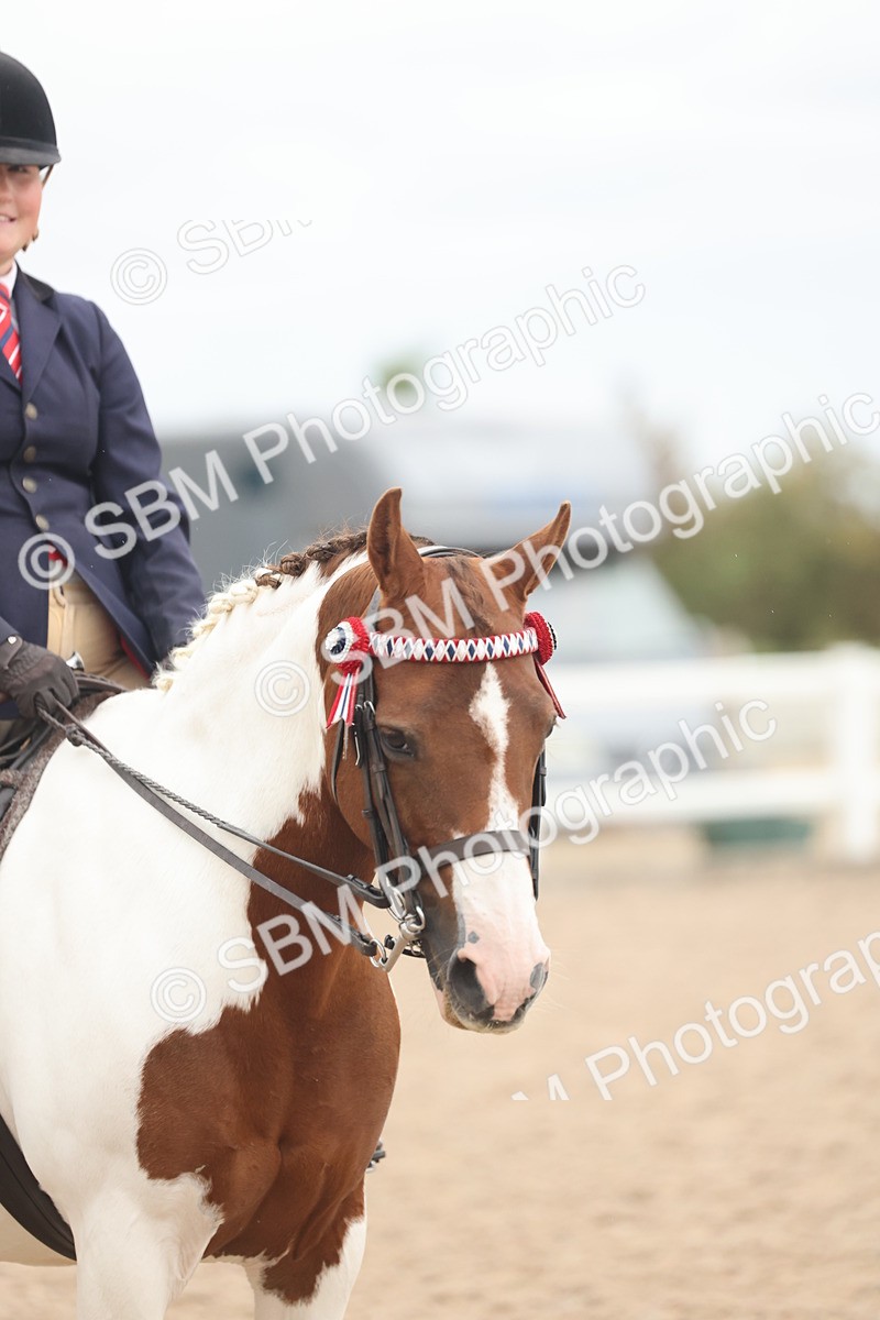SBM_19178 - Class 316 - Best Pony-Rider Combination