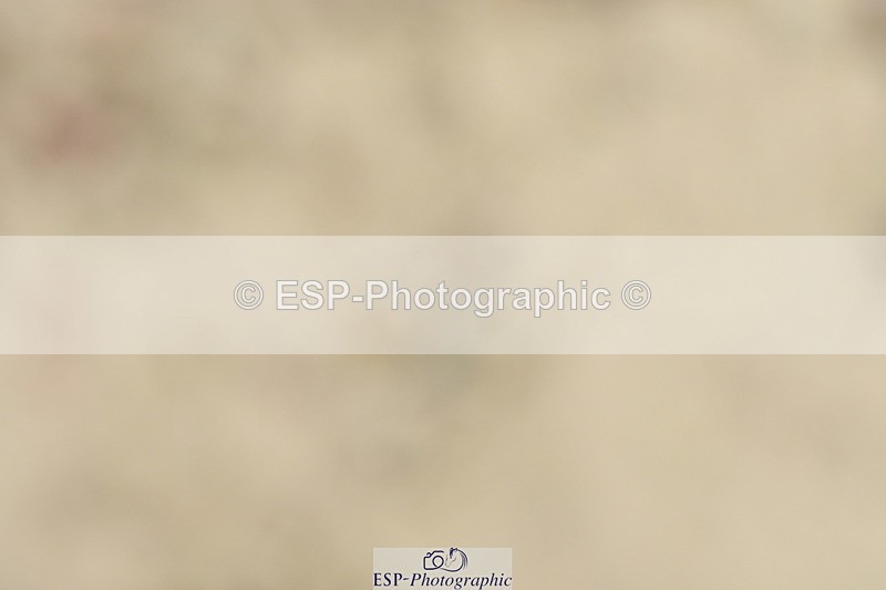 230702A-112747-08898 - Cls 30 Music Elementary