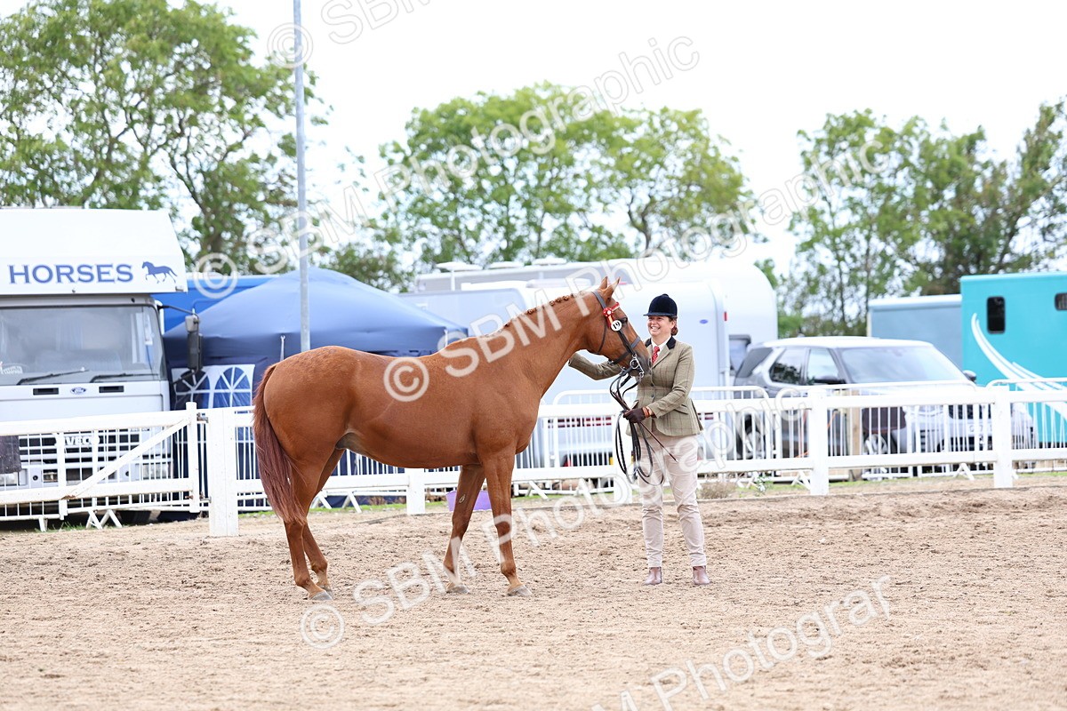 SBM_05754 - Class 28 - IH Veteran Horse