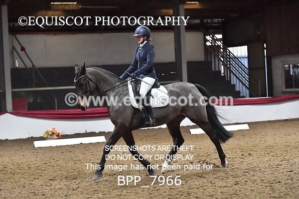 BPP_7966 - ELEM TEST 6