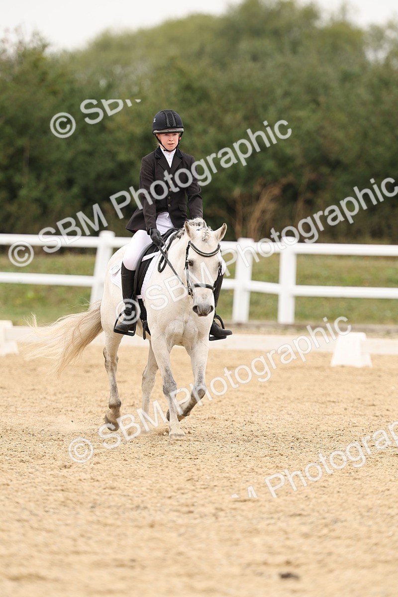 SBM_01079 - Class 8 - Novice 27 Champs