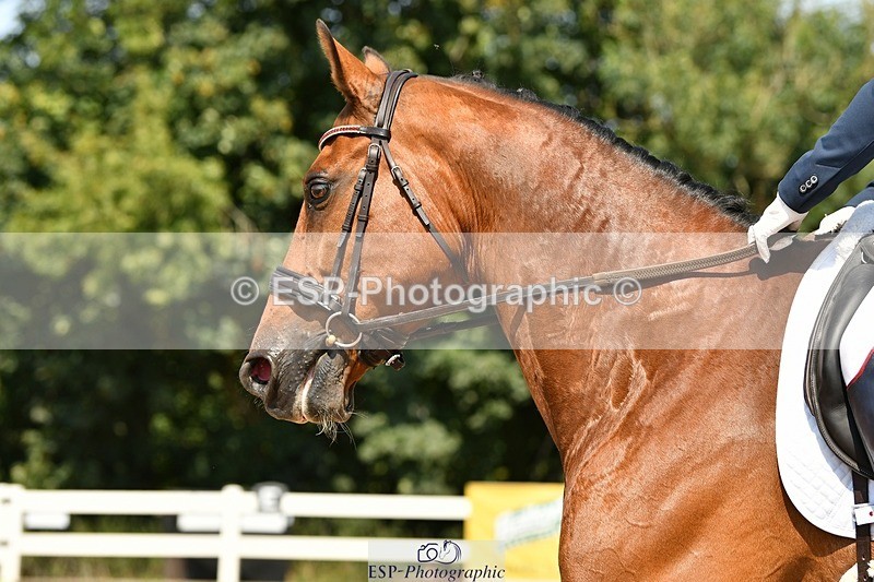 250817-132021-09908 - 217-Jane.GregoryGAME.BOY.V.T.RECHT.EIND