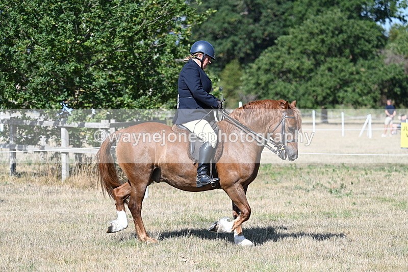 WJ7_3403 - Class 9 Mountain & Moorland Ridden