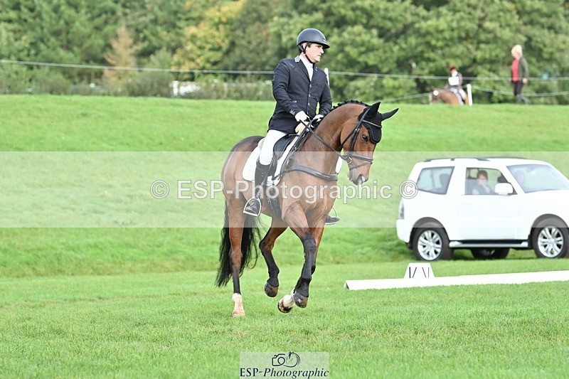 231020-101456-07569 - 683-ALVESCOT.FIVE.STAR-Mark.Ford-DR