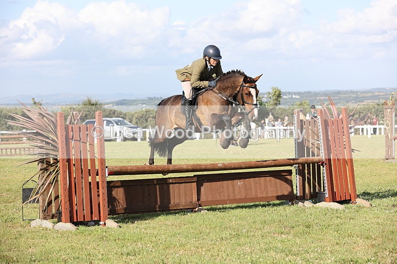 JPP_3130 - Class 21: Working Hunter 80cm