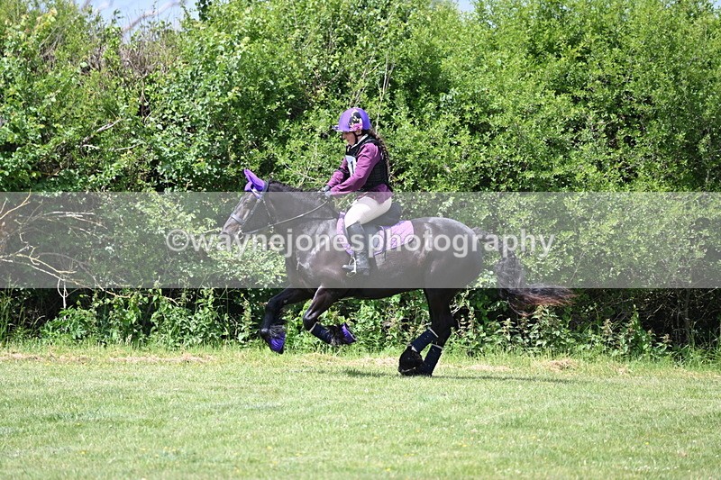 WJ6_3343 - Class 4 60cm