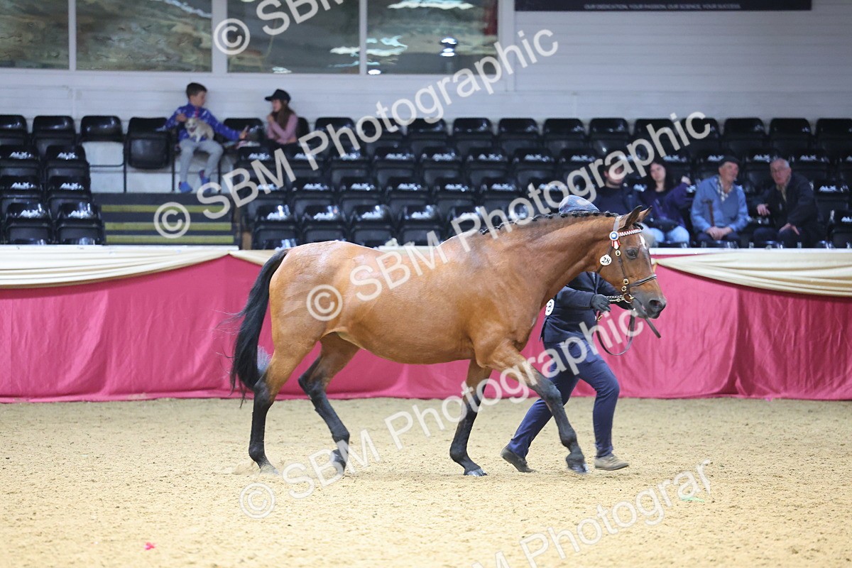 SBM_23212 - Supreme Final - IH Champion