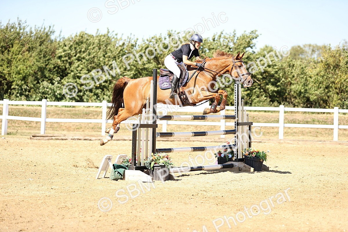 SBM_015533 - Class 16 - Senior foxhunter - 1.20m Open