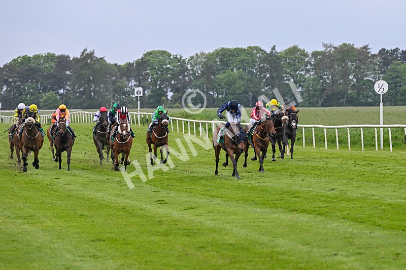 160526-Rcae 8-Run This Way-0184 - Race 8 5.57pm Sky Bet Build A Bet Handicap