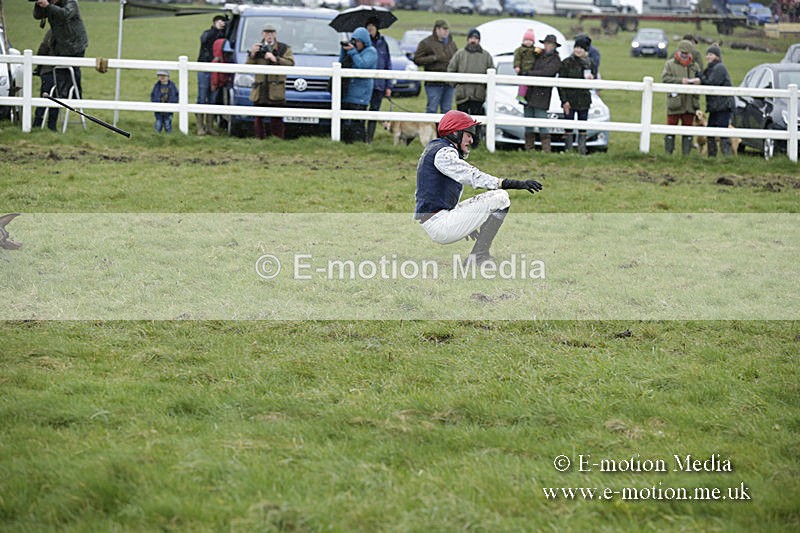 PtP 150320 0361 - New Forest Point-to-Point Larkhill 15/03/20