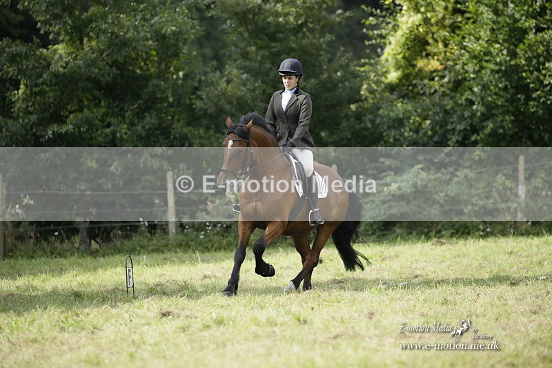 BVRC 120921 326 - Bourne Valley Riding Club UA Dressage & Show Jumping 12/09/21